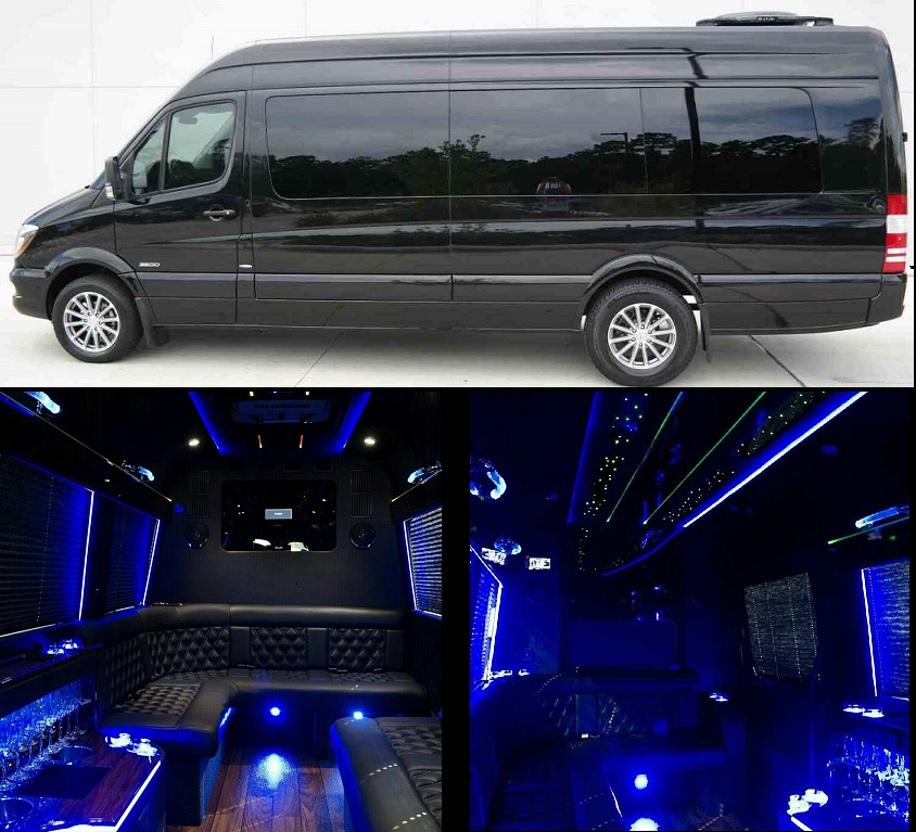 Atlanta 12 Passenger Sprinter Party Bus