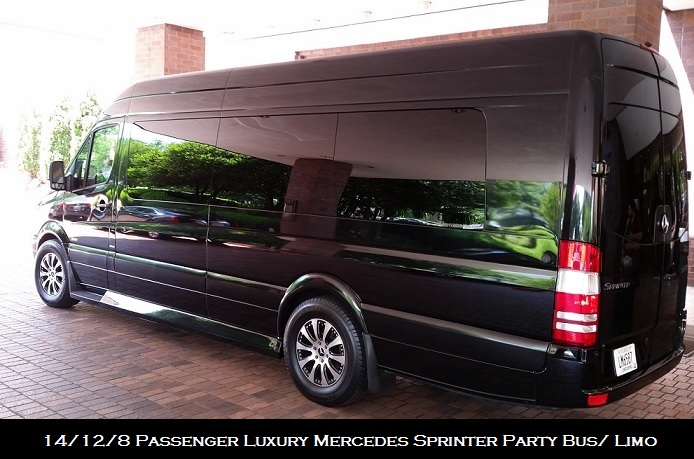 Atlanta 14 Seater Passenger Mercedes Sprinter Van